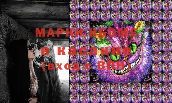 стаф Белая Холуница